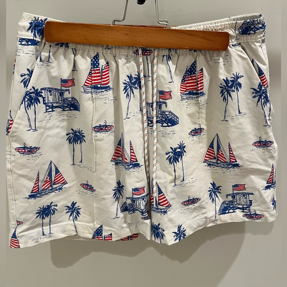 Men’s Chubbies Swim Trunks